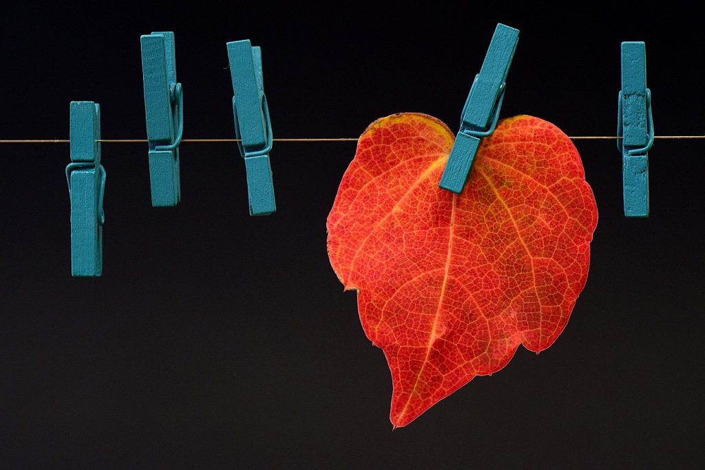 Ein Herbstblatt an einer Wäscheleine, mit einer Klammer festgesteckt