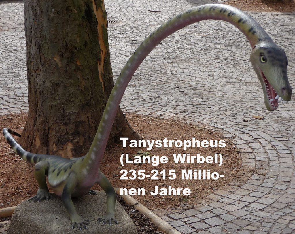 Der Dinosaurier Tanystropheus (Lange Wirbel), der einen kleinen Körper und einen außerordentlich langen Hals hat, hat vor 235-215 Millionen Jahren gelebt.