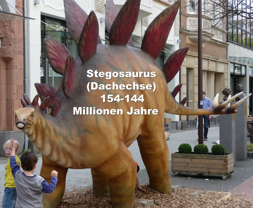 Stegosaurus (Dachechse) 154-144 Millionen Jahre