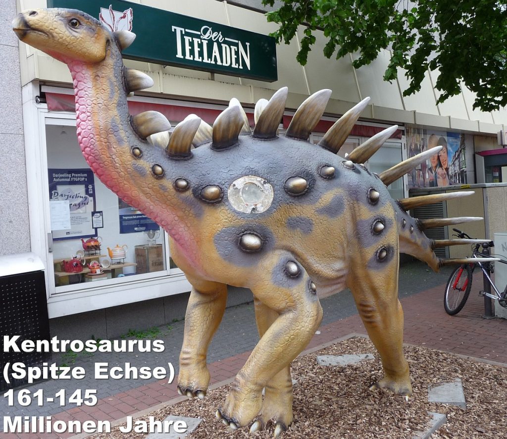 Kentrosaurus (Spitze Echse) 161-145 Millionen Jahre