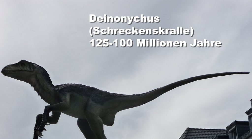 Deinonychus (Schreckenskralle) 125-100 Millionen Jahre
