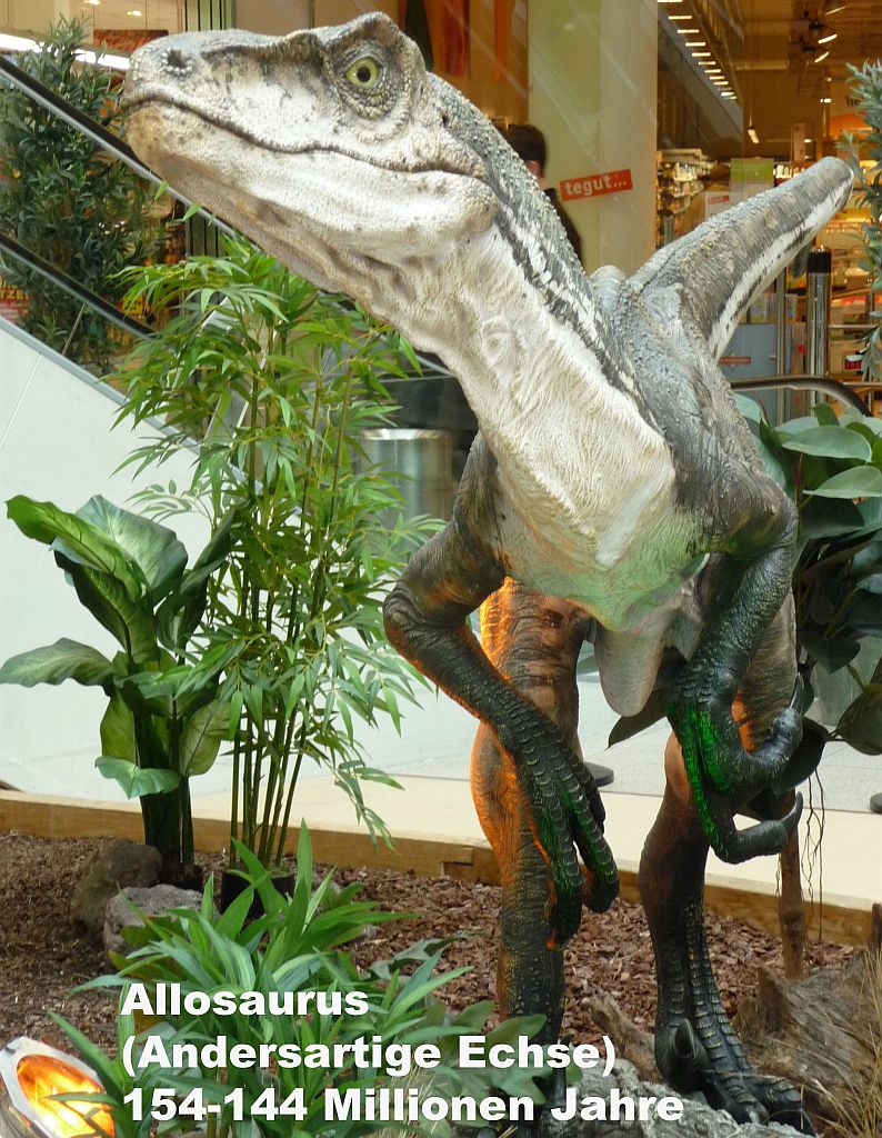 Allosaurus (Andersartige Echse) 154-144 Millionen Jahre