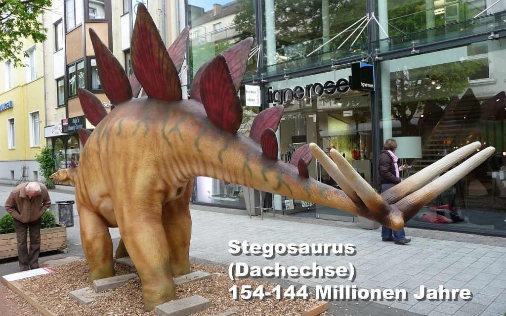 Stegosaurus (Dachechse) 154-144 Millionen Jahre