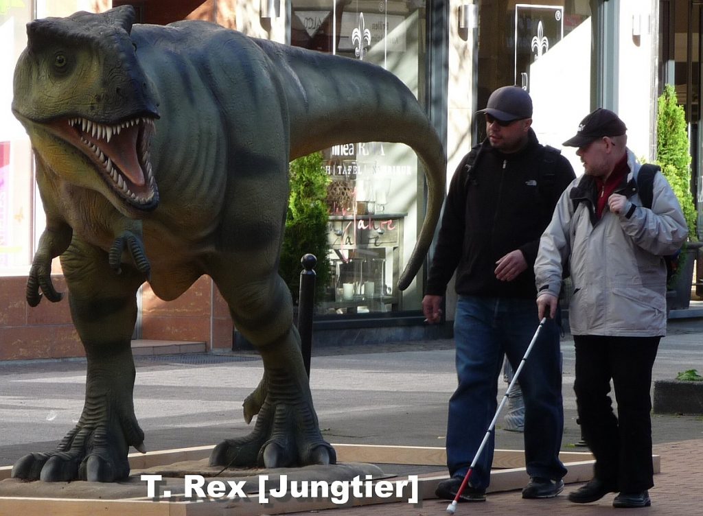 Tyrannosaurus Rex (Jungtier)