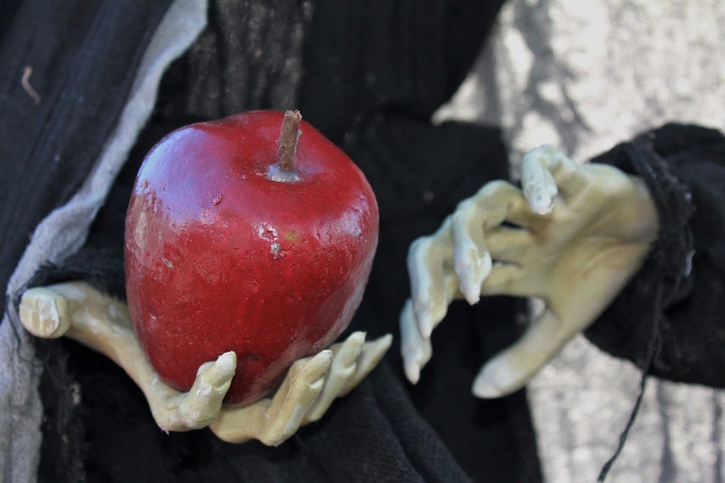 Ein vergifteter roter Apfel in den Händen einer bösen Hexe oder Stiefmutter wie im Märchen oder an Halloween