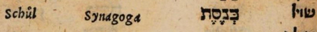 Der Text zeigt eine Zeile des Lexikons von Fagius: Schul - Synagoga - KNeSeTh (in hebräischer Schrift) - schuil (in hebräischer Schrift)
