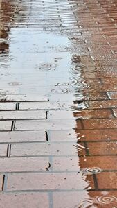 2025 06 04 Regen Im Seltersweg