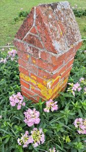 2025 09 17 12 26 02 Baltrum Blüten Mit Steinpfeiler
