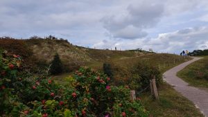 2025 09 21 16 55 04 Baltrum Blick Zur Aussichtsdüne