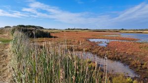 2025 09 27 15 47 59 Baltrum Ostwanderung