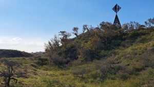 2025 09 27 16 30 14 Baltrum Ostwanderung