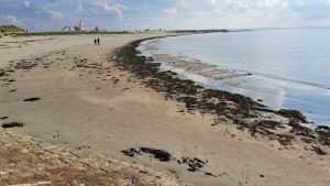 2025 09 28 16 17 50 Baltrum Am Weststrand