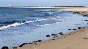 2025 10 01 14 46 03 Baltrum Inselumrundung