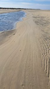 2025 10 01 15 09 39 Baltrum Inselumrundung