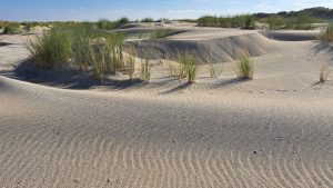 2025 10 01 15 16 11 Baltrum Inselumrundung