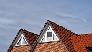 2025 10 03 12 29 07 Baltrum Spatzen Auf Dächern