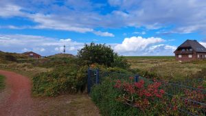 2025 10 04 12 10 10 Baltrum Westerkundung