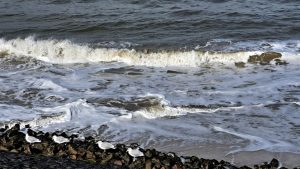 2025 10 04 12 29 19 Baltrum Weststrand